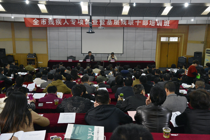 残疾人专项调查